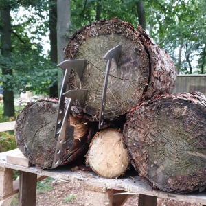 Axe Throwing